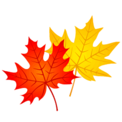 جشنواره-پاییزه-قالیشویی